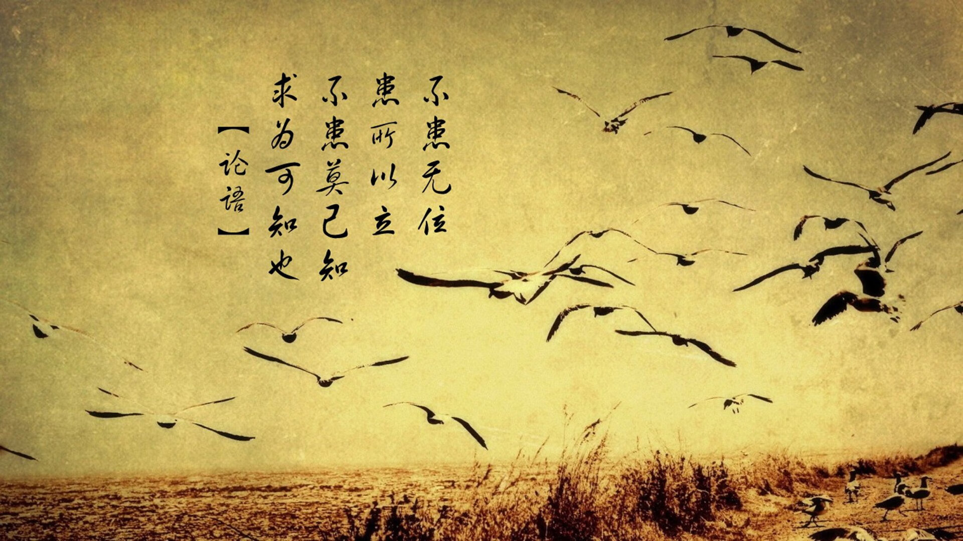 _观众热情高涨，现场气氛火爆！_，观众们热情高涨