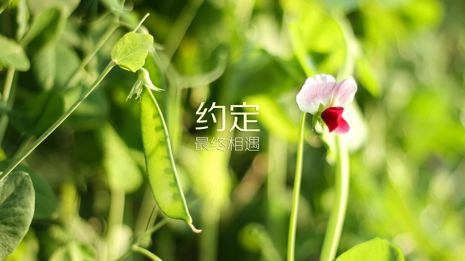 九游用户空间-欧冠“最强阵容”年度评比揭晓，欧冠目前最强的球队