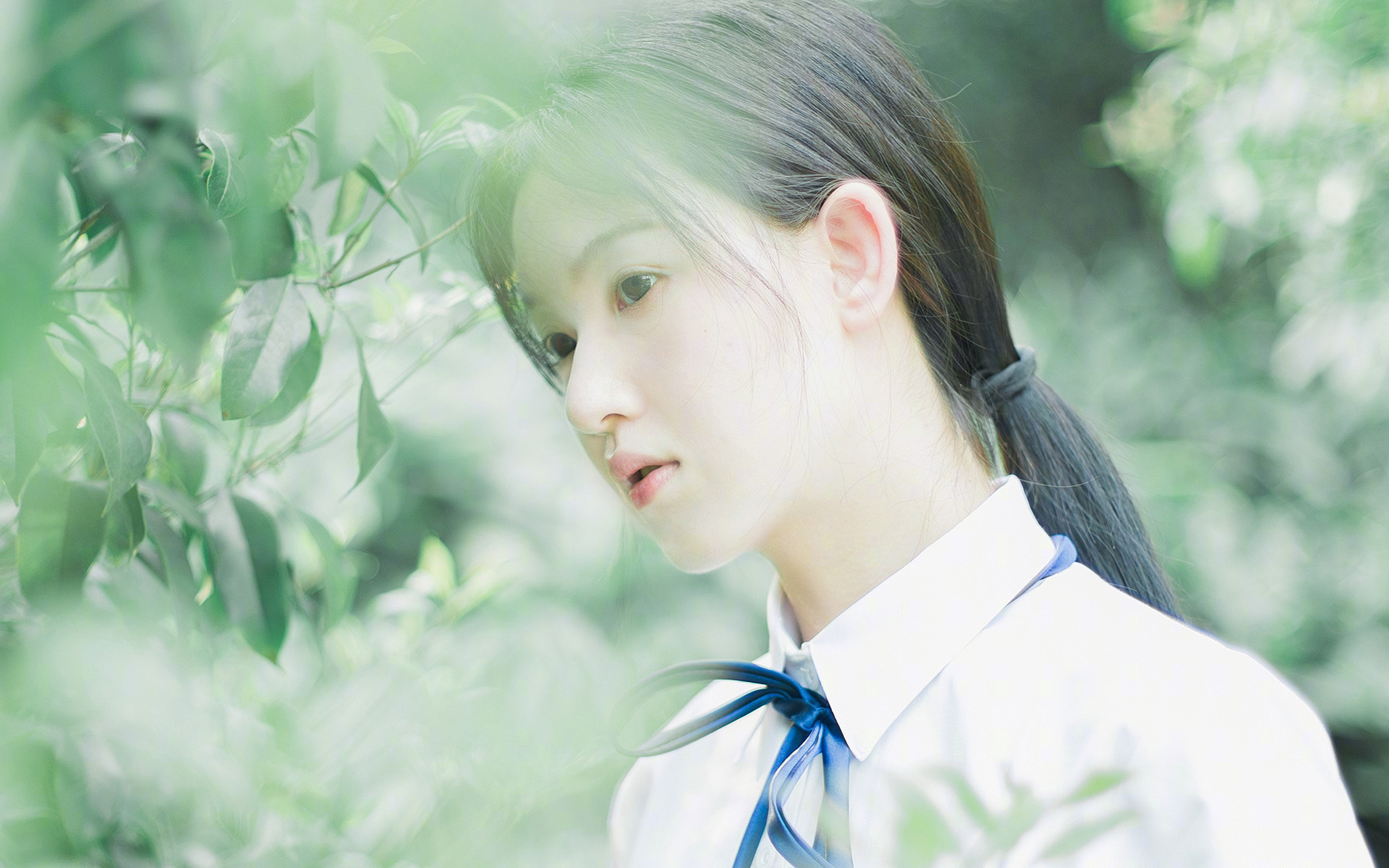 九游电脑版-新闻中心数字化平台全面升级，中国新闻数字版