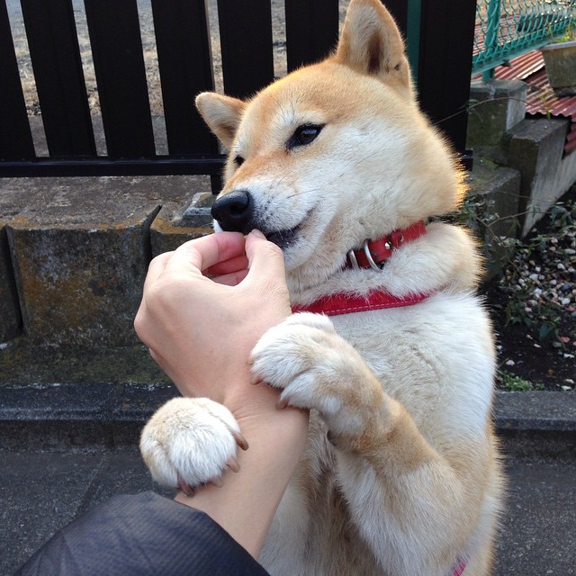 印度队如何在2024年世界杯赛场打破强队束缚,印度进世界杯