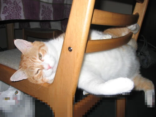 九游登录中心-滑雪场迎来开板季大众热情高涨，滑雪 场