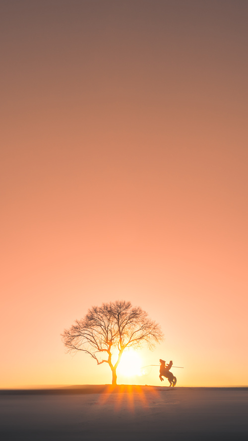 -直播技术创新助力赛事多元传播，直播创新玩法