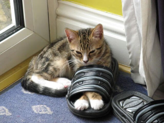 中超青训营举办家长开放日展示球员日常训练情况,中超青年球员新闻微博