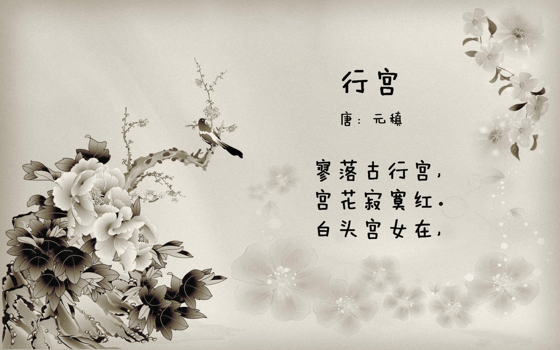 全球足球合作推动女子足球崛起,比赛水平持续提升,女子足球运动