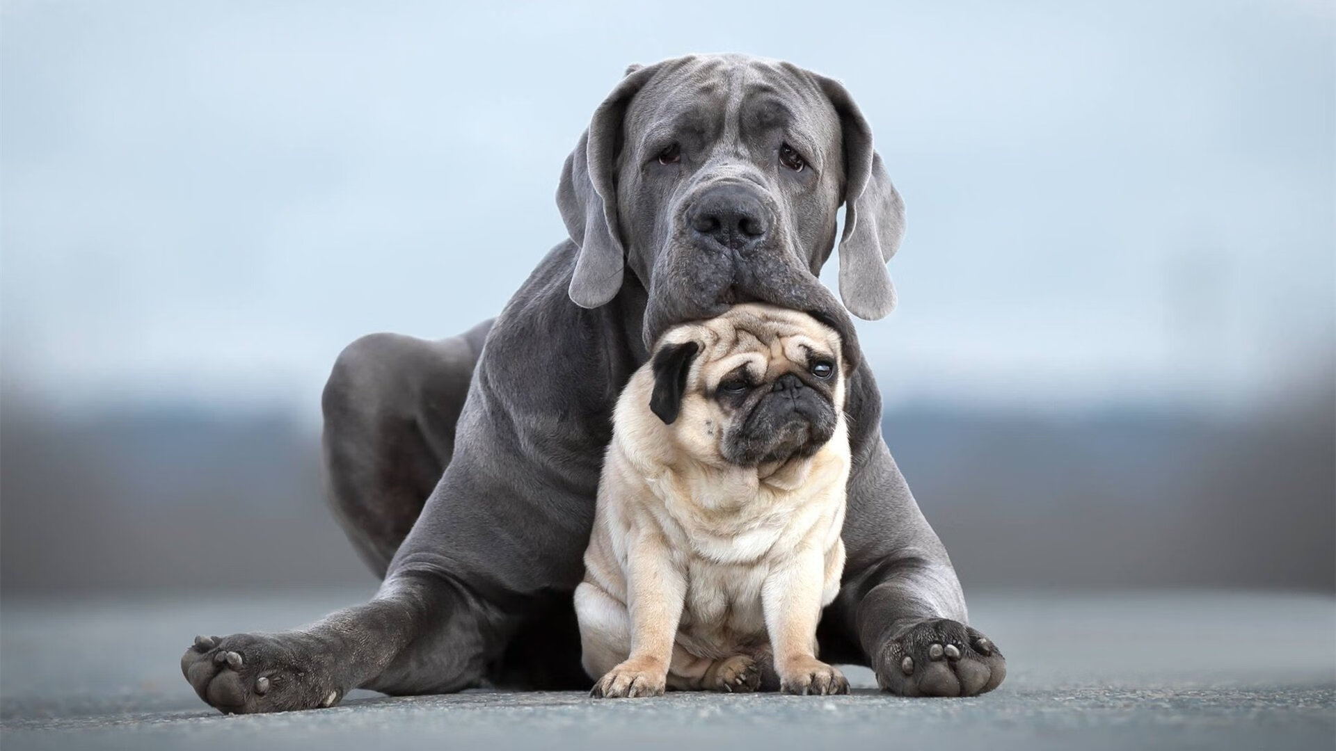 易建联退役纪念赛众星云集致敬中国篮坛传奇，易建联退役了吗cba联赛