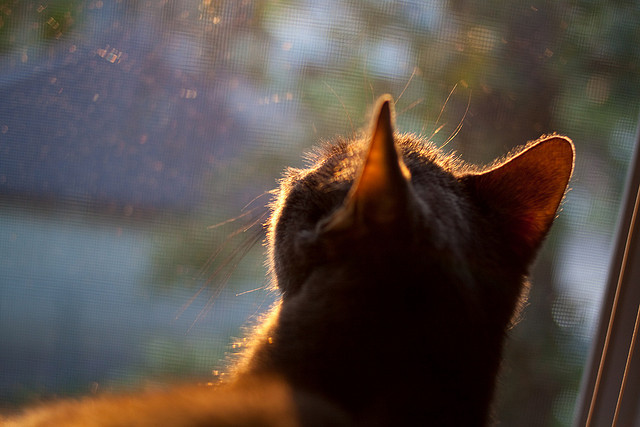 球员运营个人品牌工作室，退役后职业转型有保障，球员专属logo