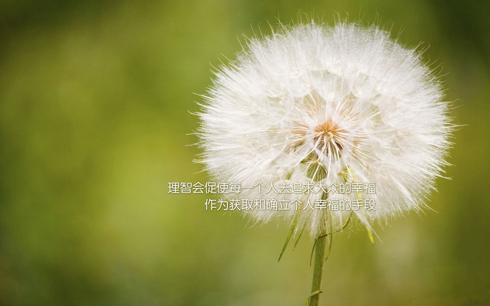 自由泳预赛摩纳哥选手全线晋级，自由泳预赛摩纳哥选手全线晋级了吗