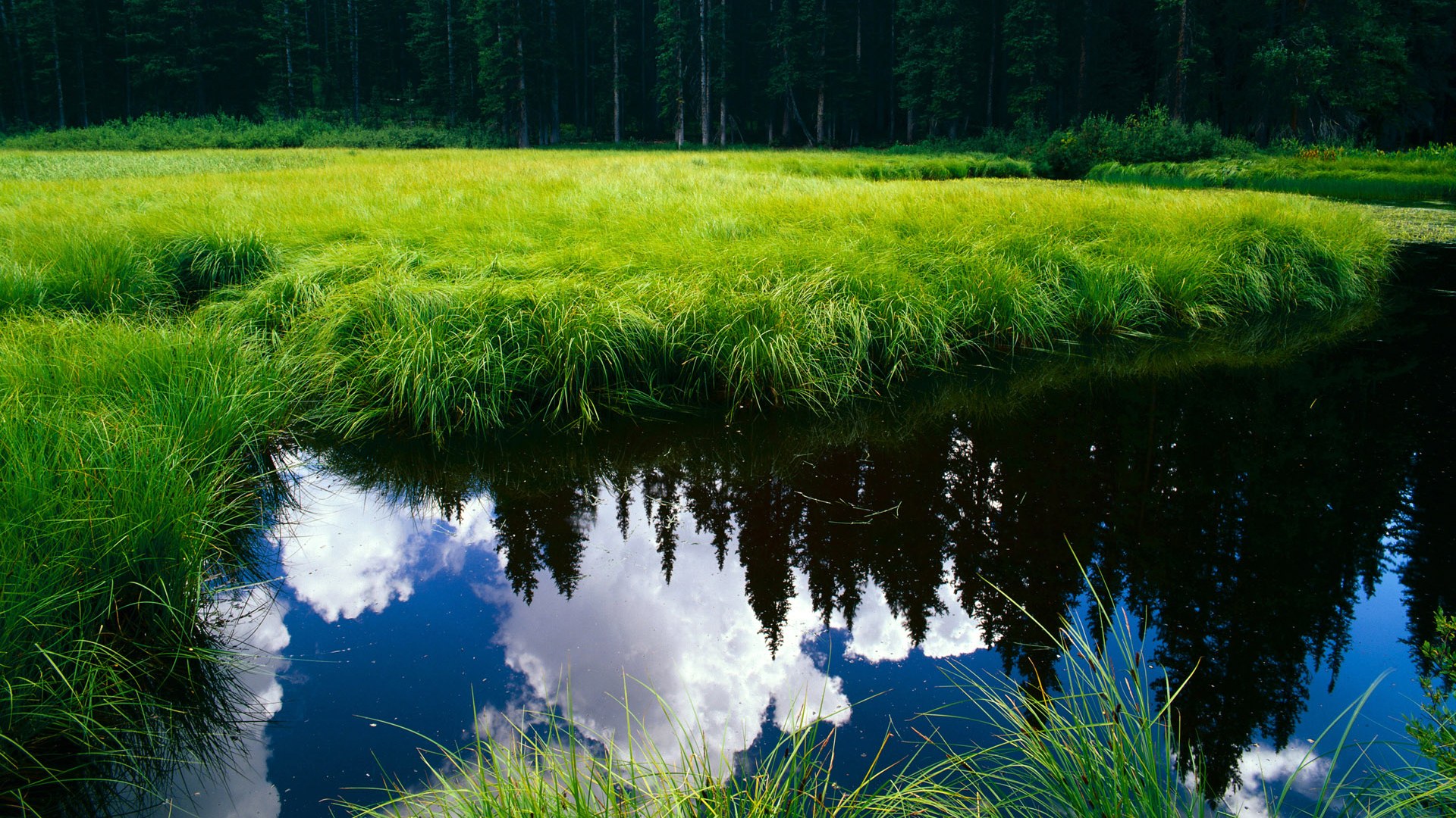 -顶尖赛事主办权落地本地城市拉动经济效应初现，顶级赛事专项