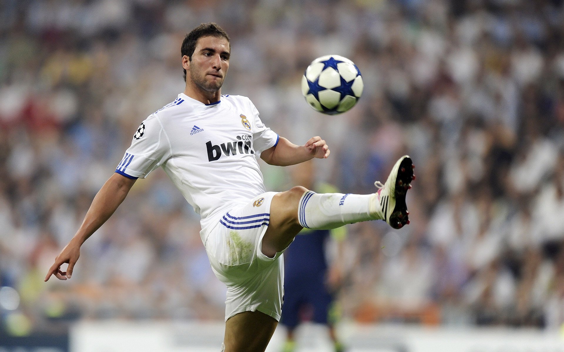 世俱杯决赛：顶级对决激发球迷热情，世俱杯ds